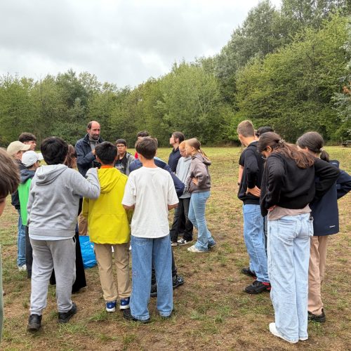 3e_team_building7