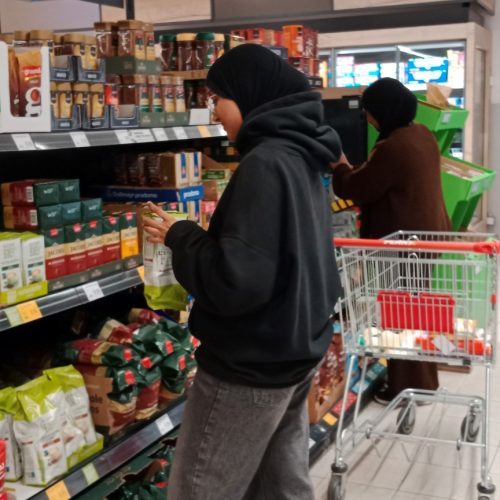 Berufspraktische_Tage1