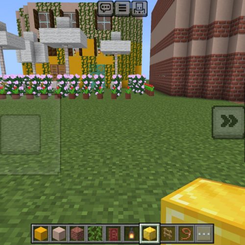 Minecraft_2