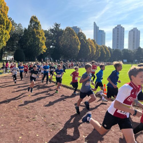 Rossbacher_ÖSchullauf02