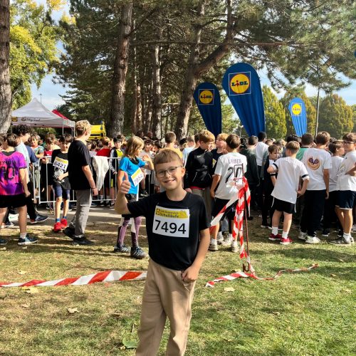 Schullauf3